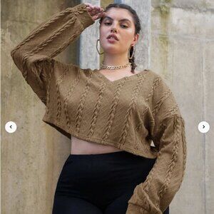 Plus Cable Knit Crop Top Sweater 4X